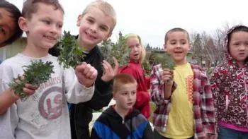 Exploring the Garden