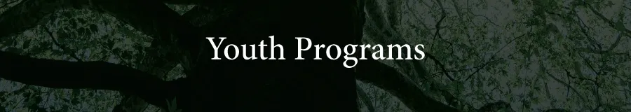 Ask Us Youth programs