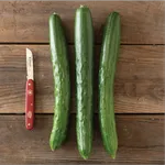 Armenian 'Metki Dark Green'