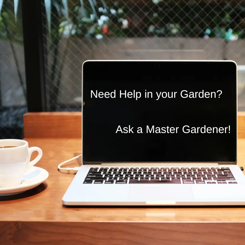 Laptop computer with a message about garden help