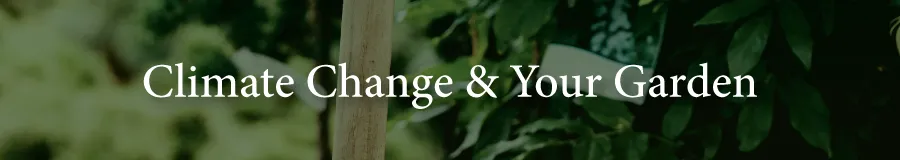 Basic Climate Change