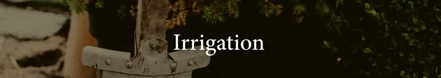 Basic Irrigation 