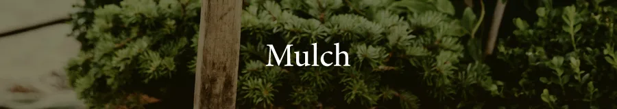 Basic Mulch
