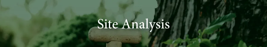 Basic Site analysis