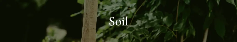 Basic Soil