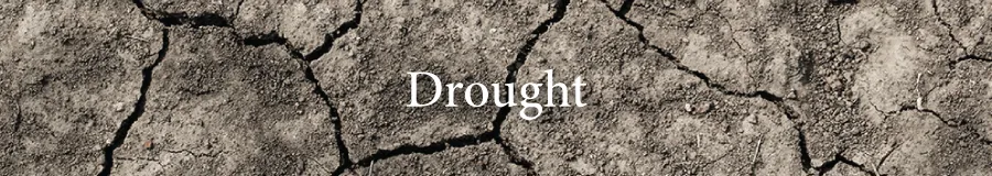 Button Drought