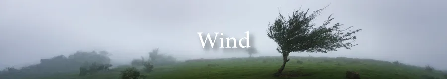 Button Wind