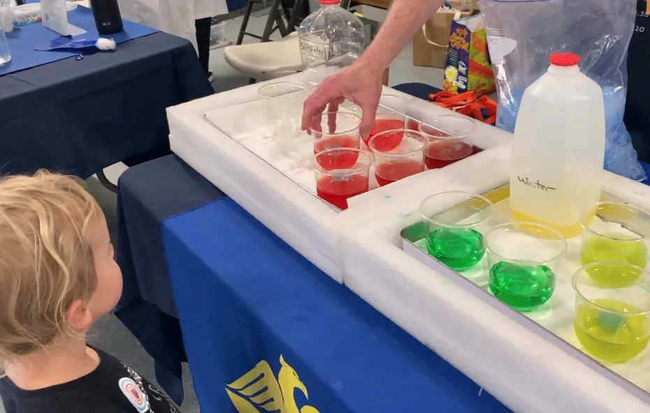 Clear plastic cups filled with red saltwater and yellow fresh water. When the blue freshwater ice cube melts, the yellow fresh water mixes with it to turn green. In the saltwater, the freshwater ice cube melts and stays separate.
