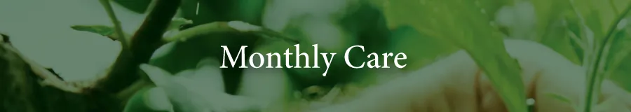 Care Monthly