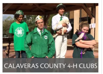 Calaveras 4-H youth with animals