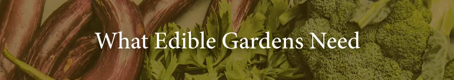 Edibles What they need