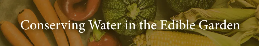 Edibles Conserve water