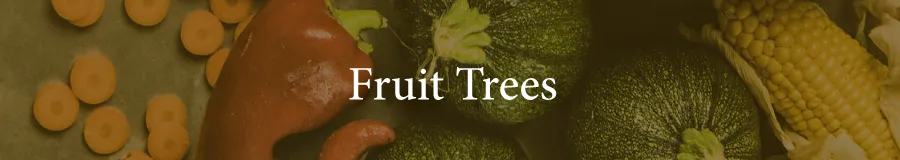 Edibles Fruit Trees
