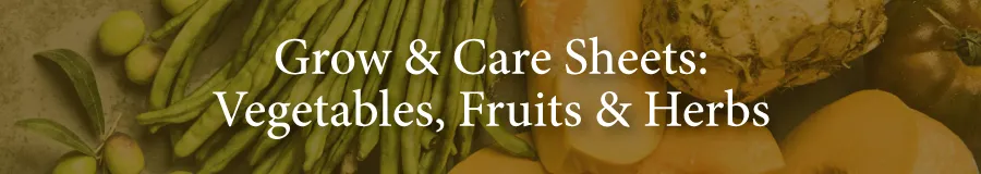 Edibles Grow & Care Sheets