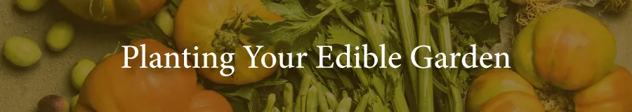 Edibles Planting Spacing