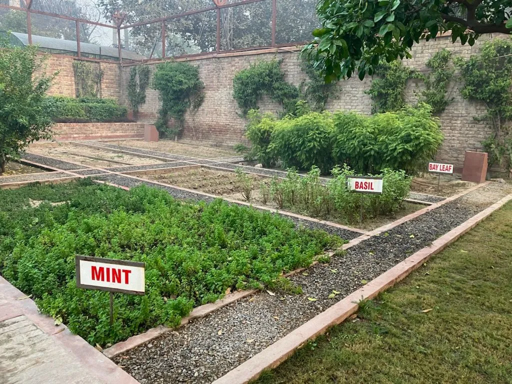 a wide view of an herb garden with multiple herb beds