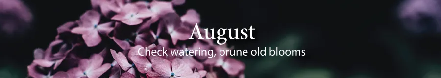 August