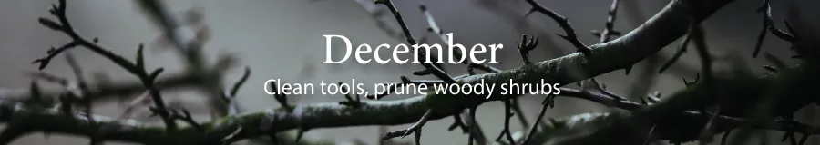 December