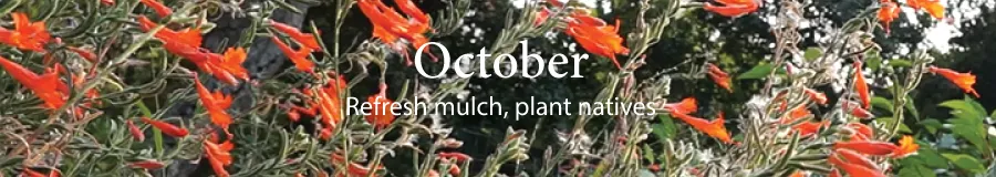 October