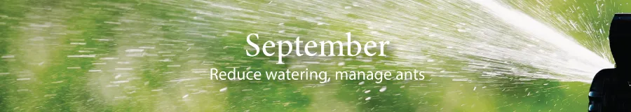 September