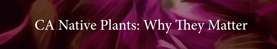 Plants CA Natives