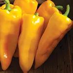 Pepper_Sweet_Escamillo_Johnny_s Selected Seeds