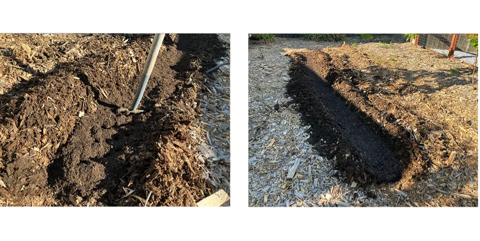 adding organic matter like compost to the soil