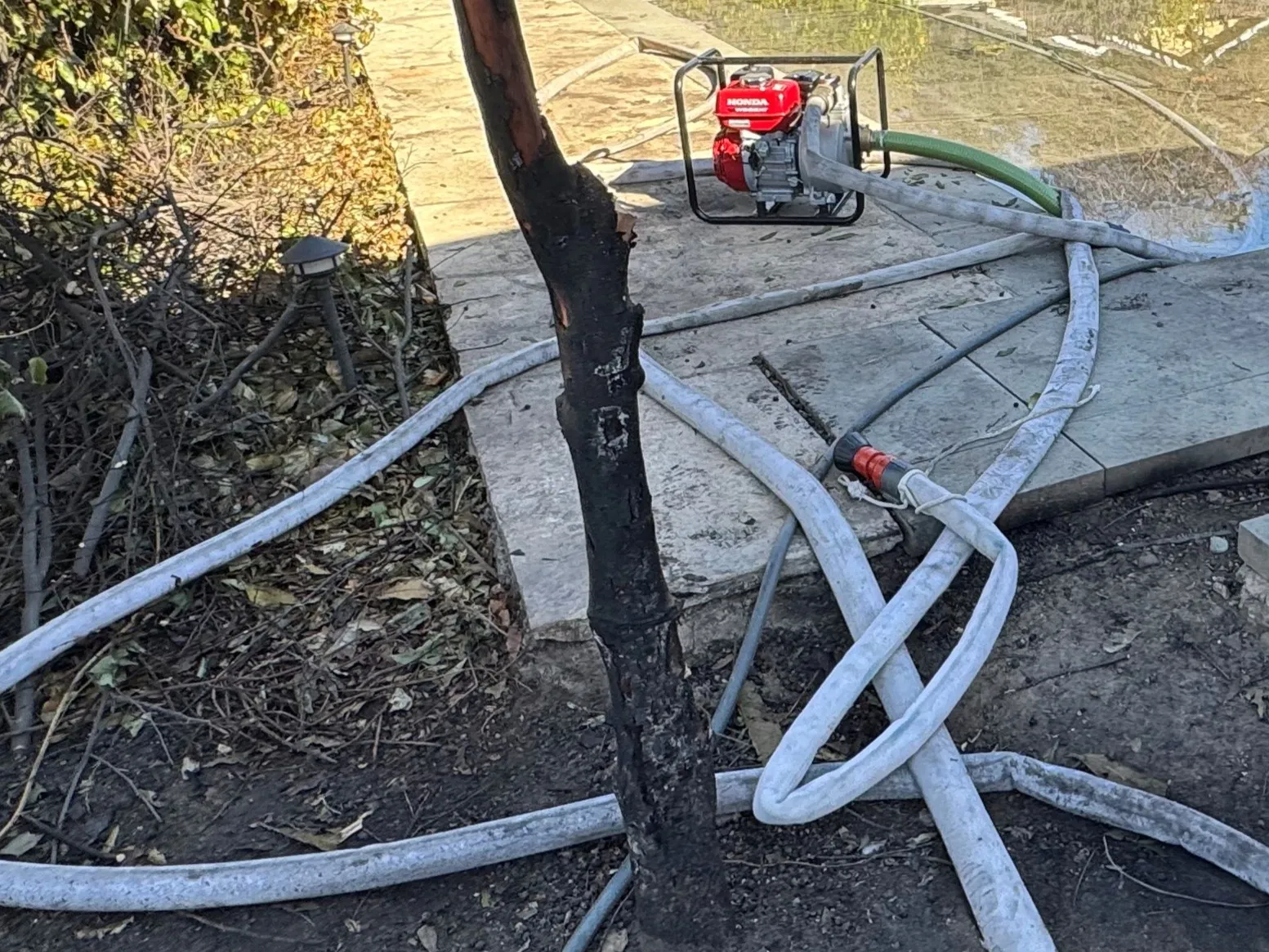 Pump used to draw water from pool