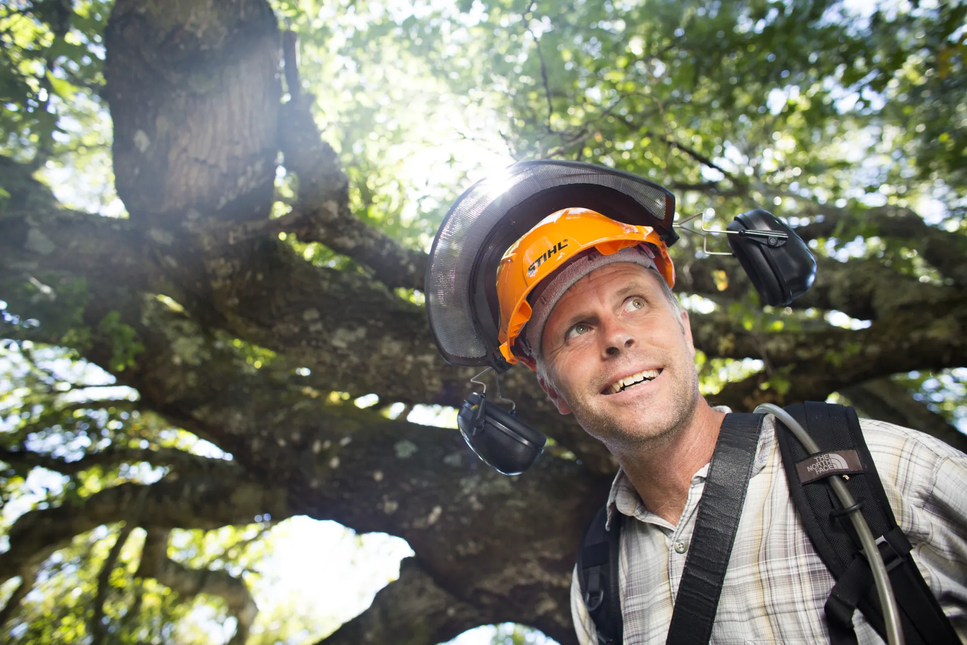 Steven, wearing an orange hard hat with black hearing protection, stands under a large oak tree