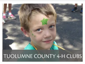 Tuolumne County 4-H child with face paint