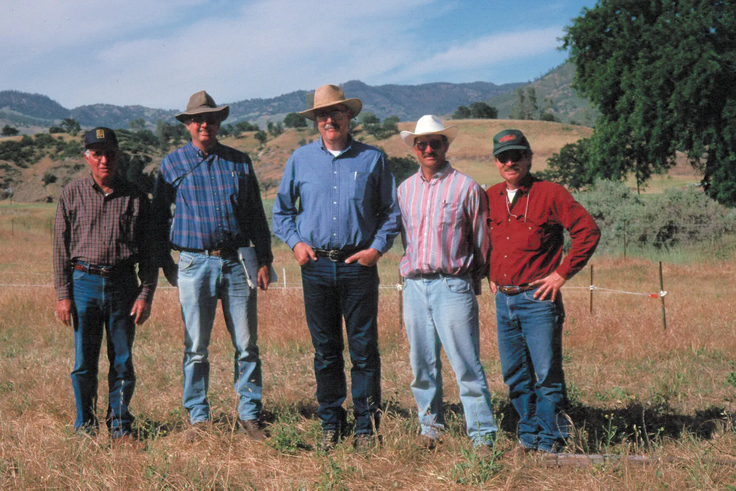 Five men stand in a grassy pasture.