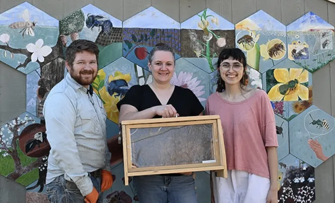The Bee Team at the UC Davis Bee Haven: Ellina Nino (center) with Samantha Murray and Joe Tauzer.