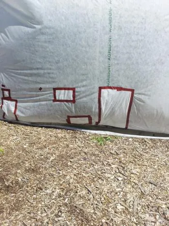 Tent holes
