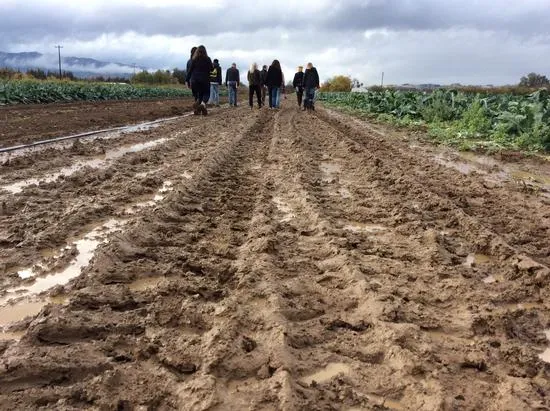 Mendocino and Lake County farmers in the field