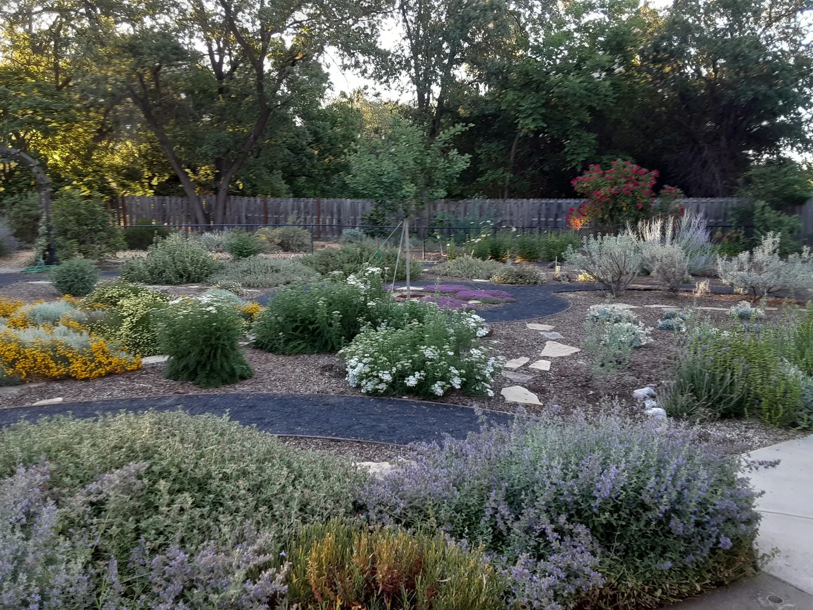 Mulch has many benefits. Laura Lukes