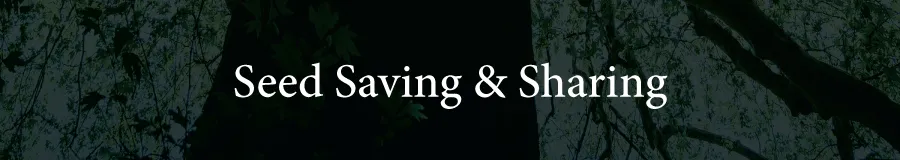 Banner Seed Saving