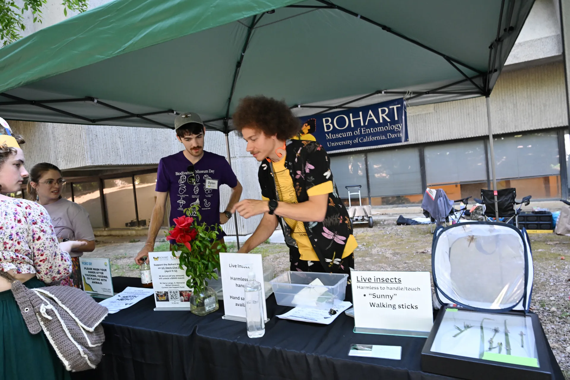 Dylan Winkler and Christofer Brothers show stick insects