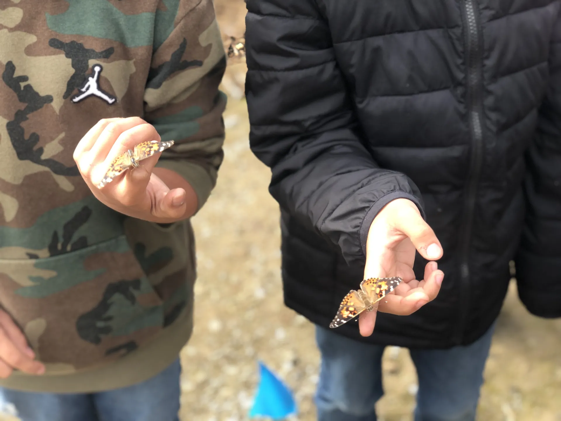 Third graders release butterflies