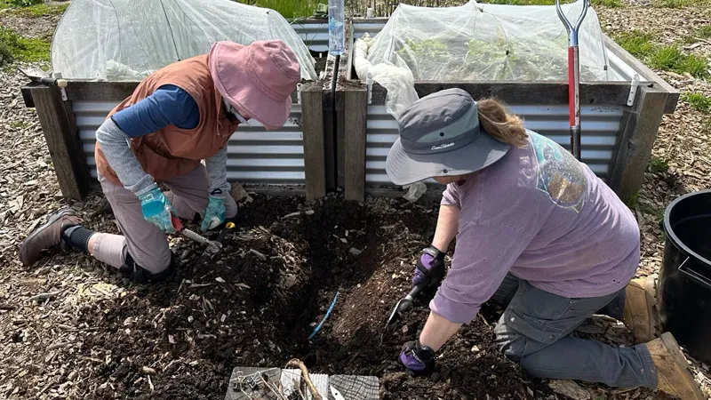 Digging to find leak in buried irrigation tubing