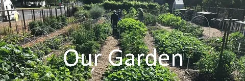 Our_Garden_Courtesy_Greg_Letts