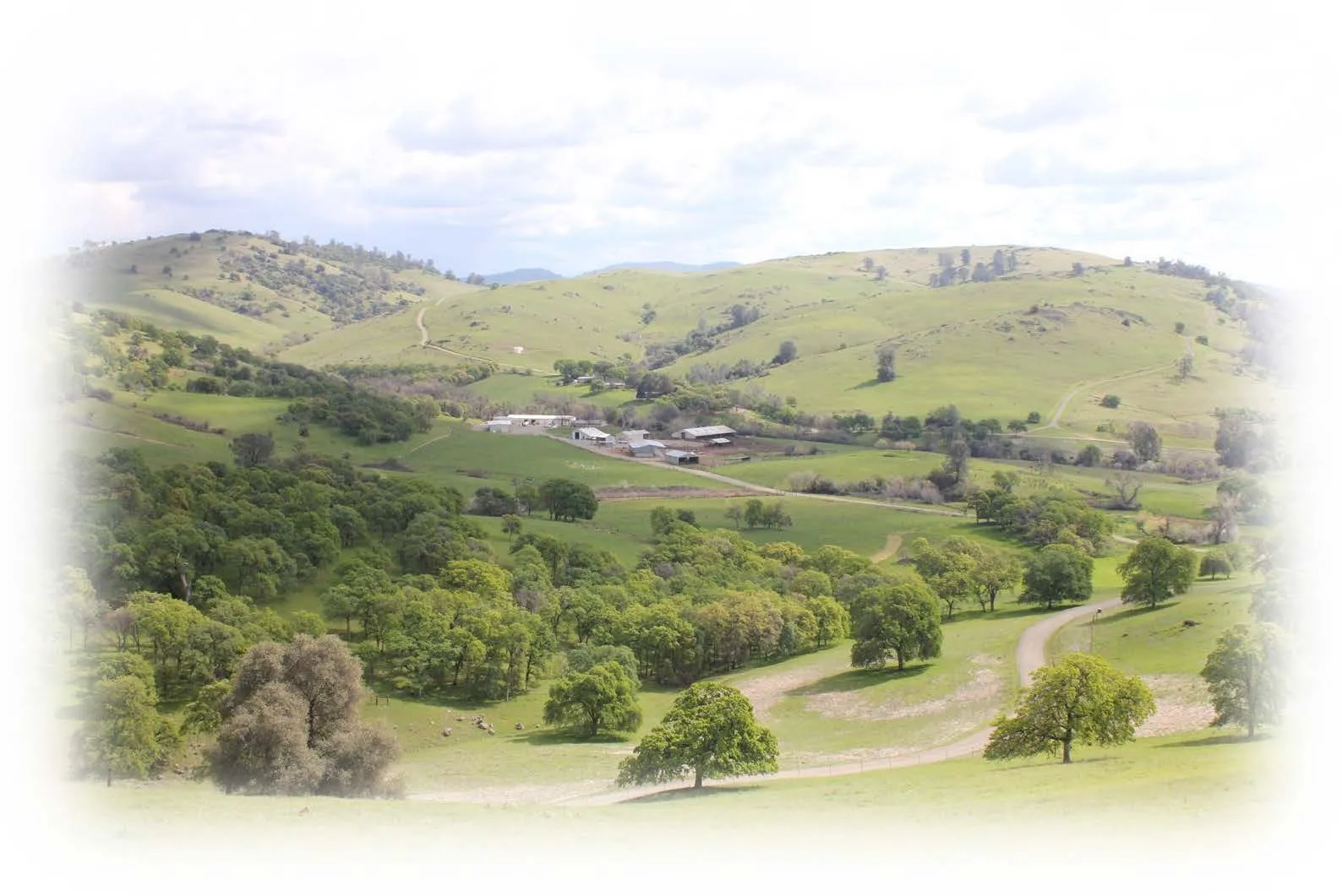 Rolling green hills and oak trees surround buildings at Sierra Foothill REC.