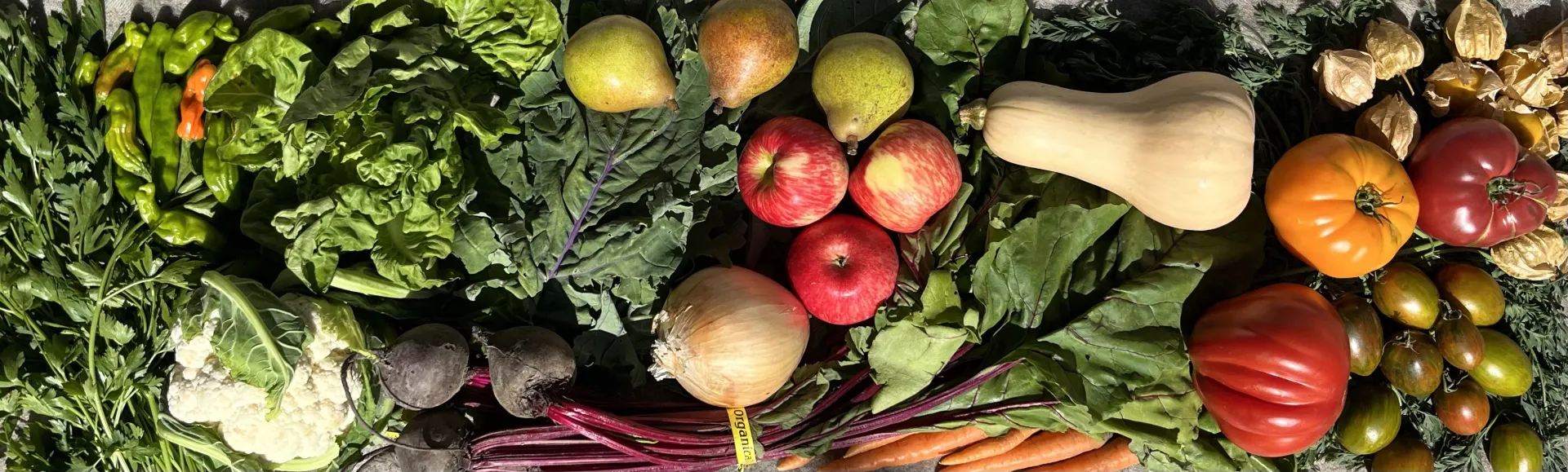 Specialty Crops Photo