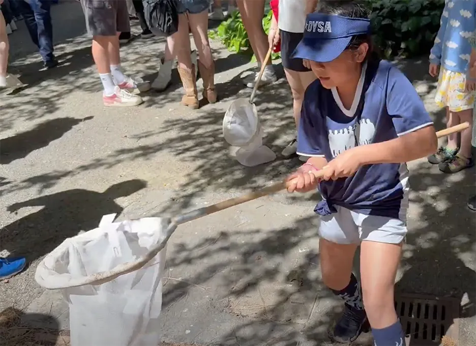 Sunaina Pandey, 9, of Davis, catches the butterfly replica. (Photo by Kathy Keatley Garvey)