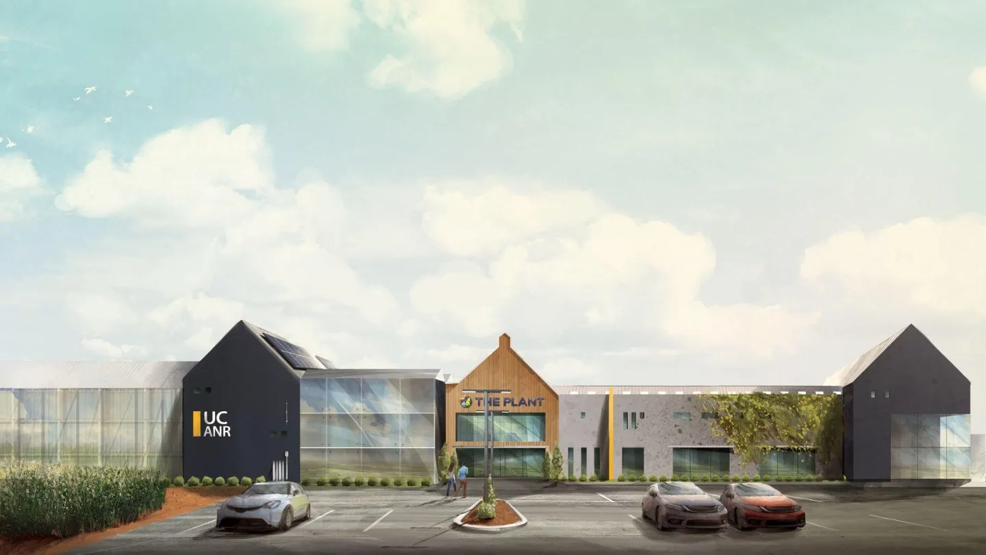 Conceptual illustration of what the building will look like