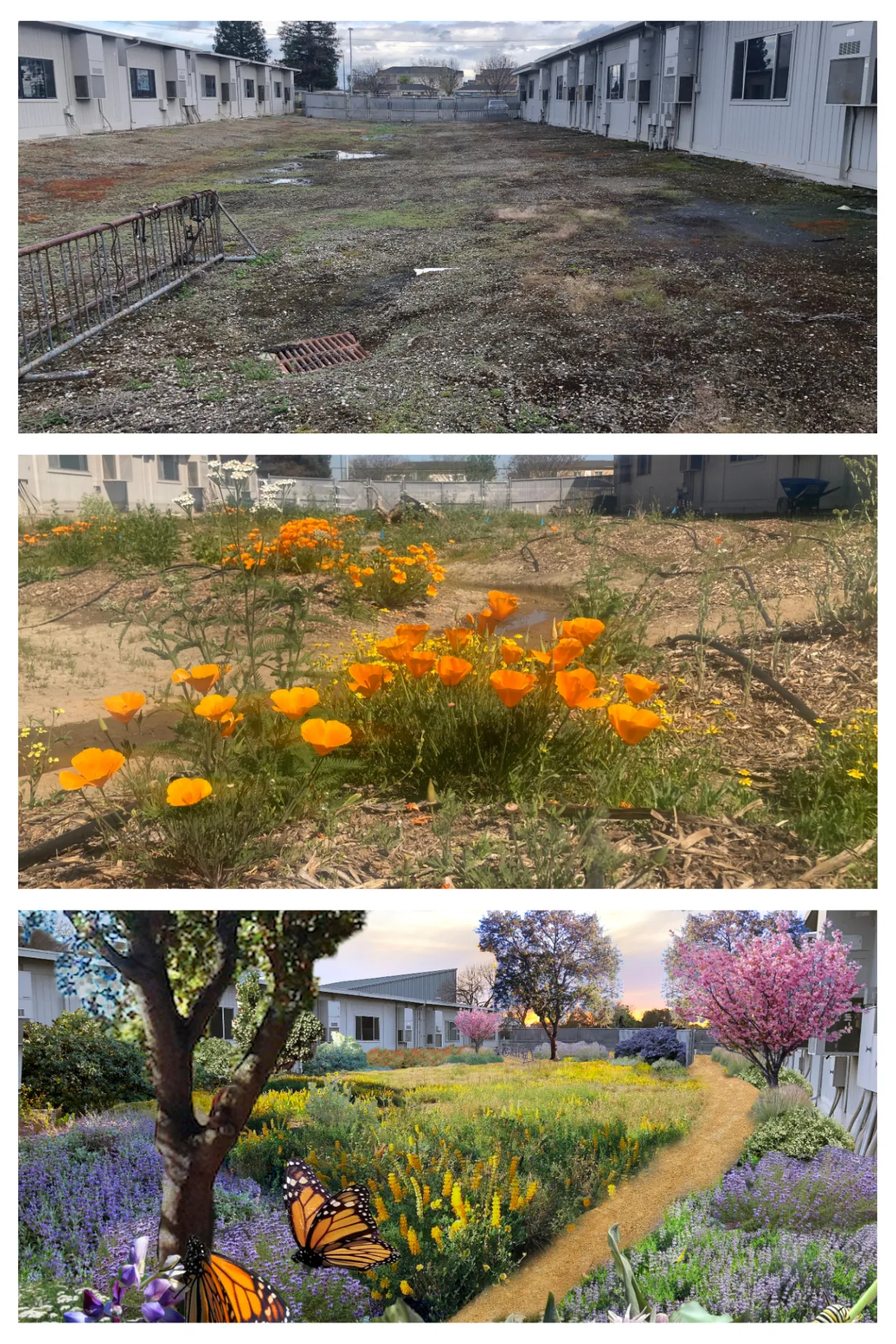 Meadow at Madera South