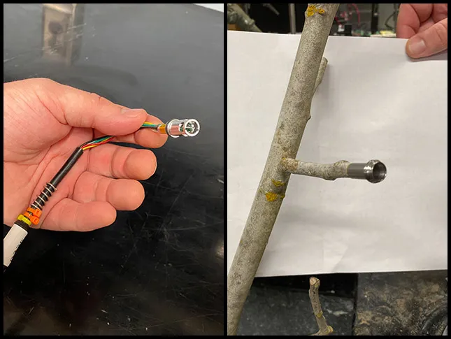 Two photos. On left, a hand holds a microtensiometer. On the right, the device is screwed into the side of a walnut tree branch.