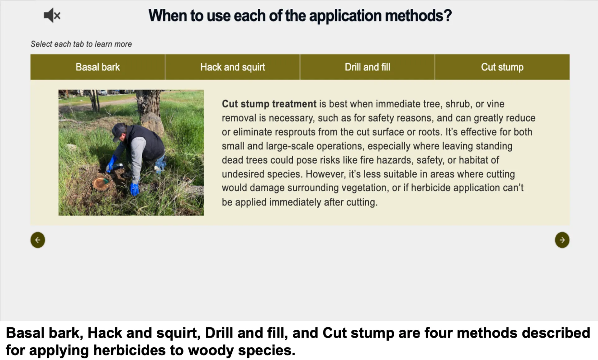 Screenshot in new herbicide application calibration course showing Basal bark, Hack and squirt, Drill and fill, and Cut stump methods described for applying herbicides to woody species.