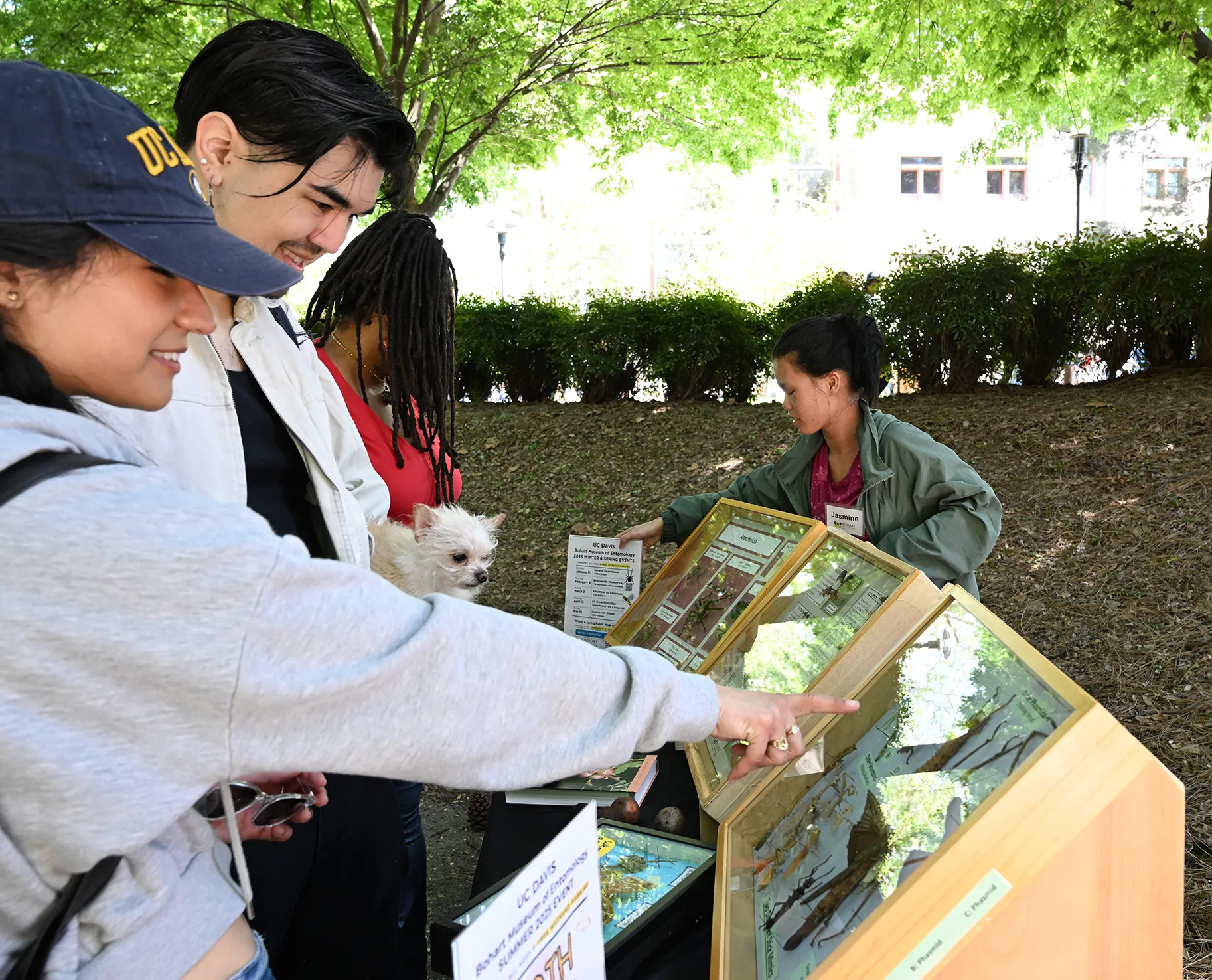 Bohart Museum student intern Jasmine Chow discusses the specimens.