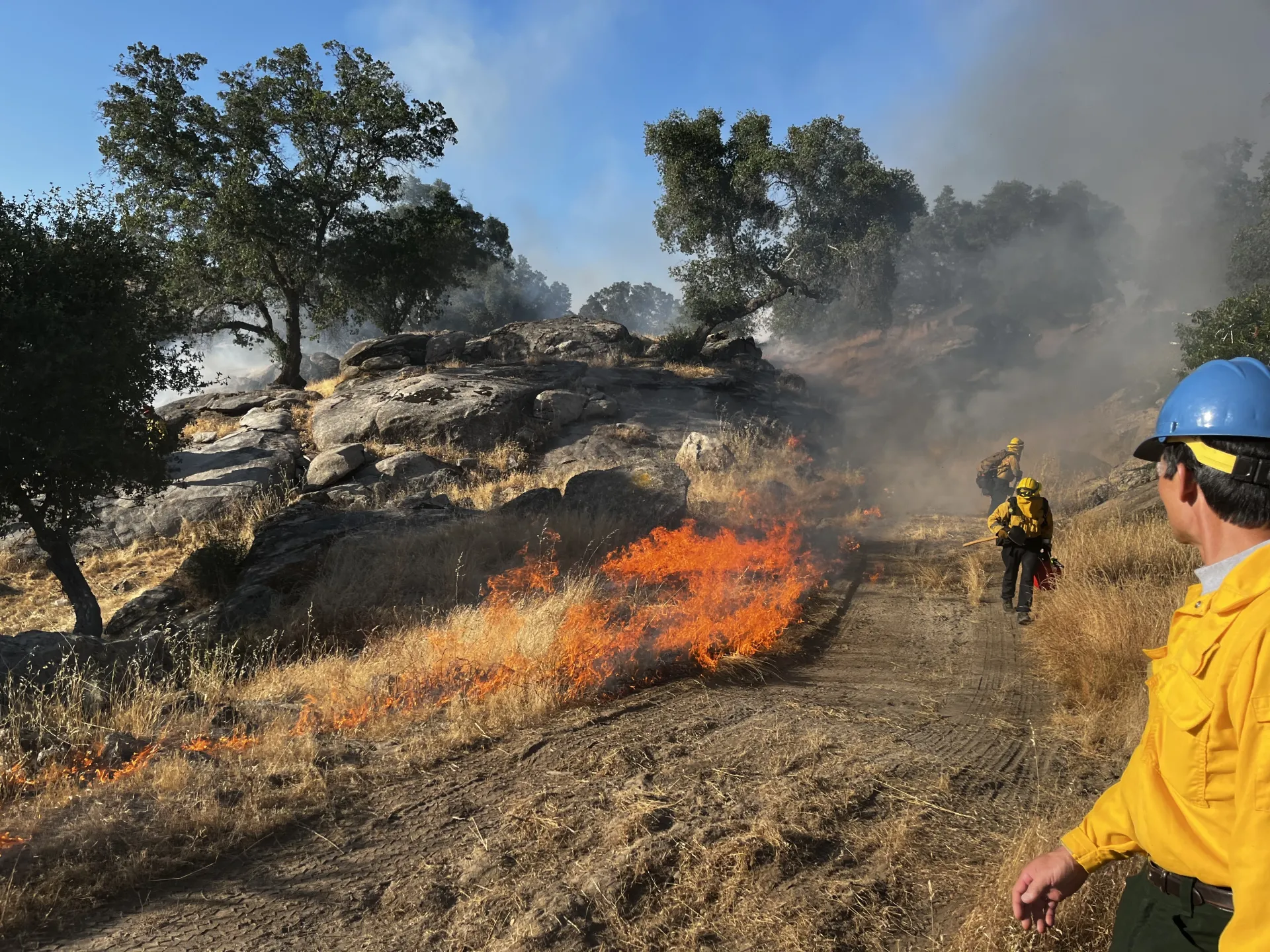 People in yellow gear observe flames from a prescribed burn