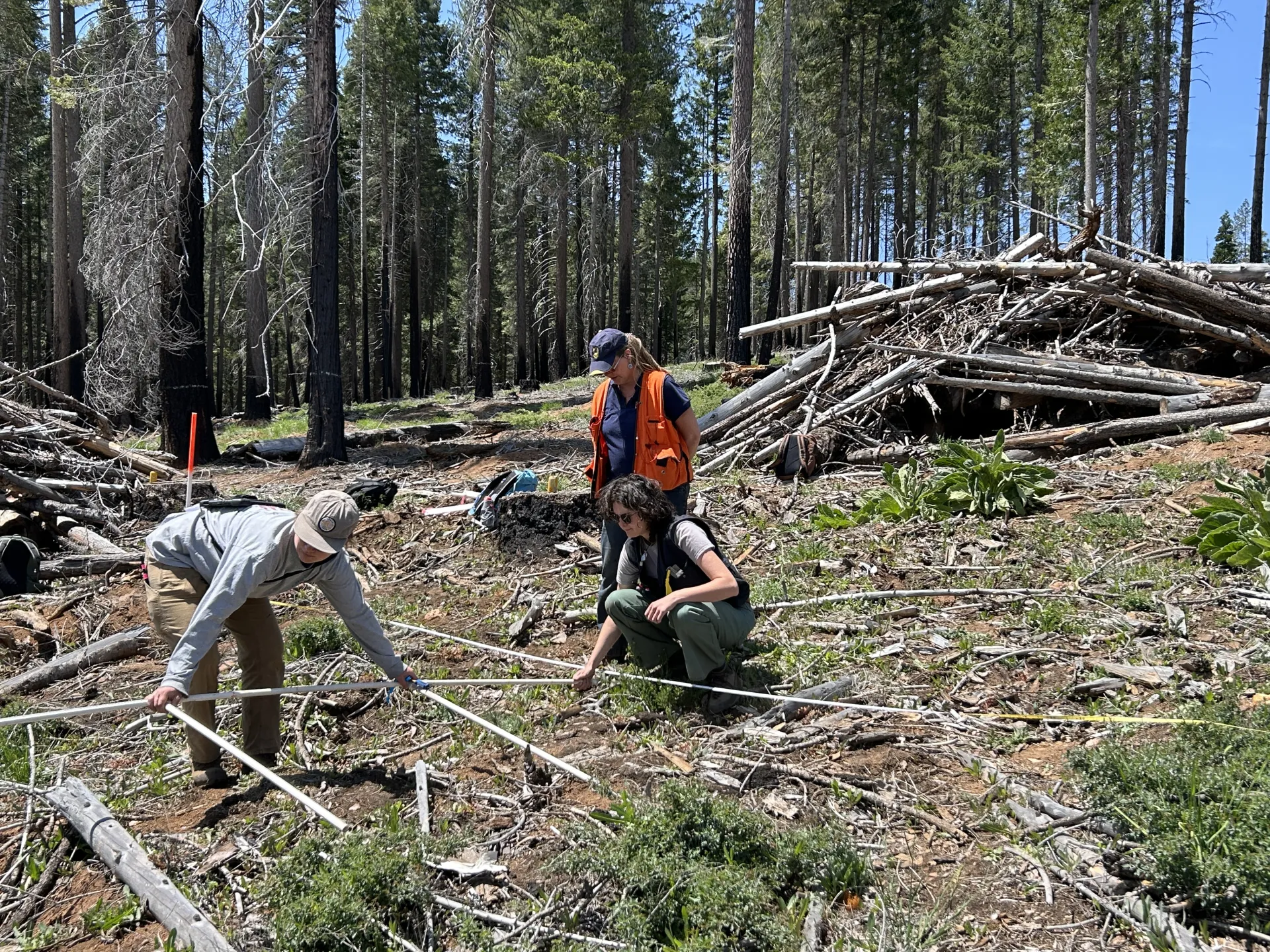 Post-Fire Team instructing FRRCD crew